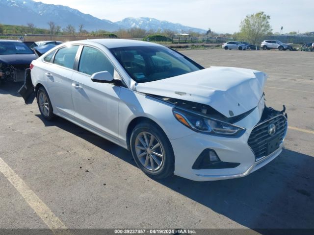 HYUNDAI SONATA 2019 5npe24af3kh795111