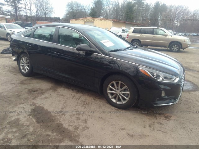 HYUNDAI SONATA 2019 5npe24af3kh797036