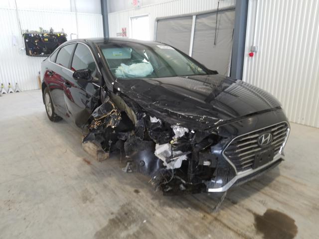 HYUNDAI SONATA SE 2019 5npe24af3kh797375