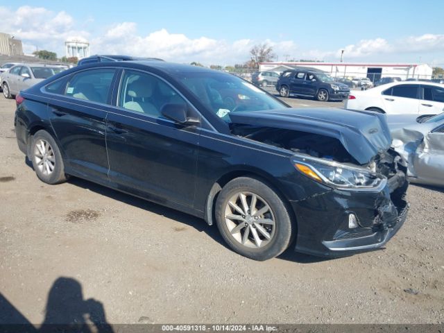 HYUNDAI SONATA 2019 5npe24af3kh797862