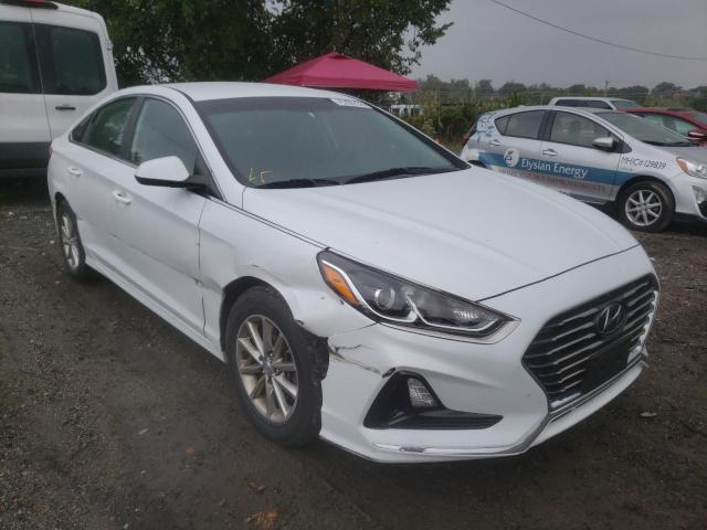 HYUNDAI SONATA SE 2019 5npe24af3kh800775