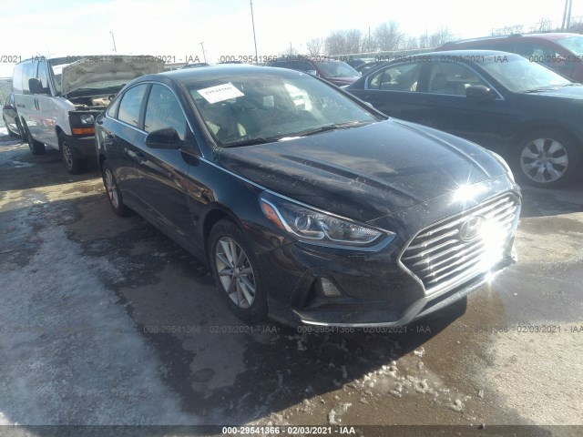 HYUNDAI SONATA 2019 5npe24af3kh800825