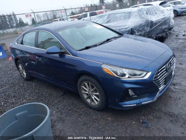 HYUNDAI SONATA 2019 5npe24af3kh802865