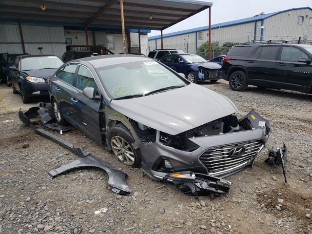 HYUNDAI SONATA SE 2019 5npe24af3kh804129