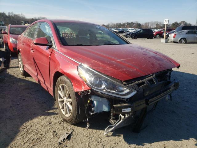 HYUNDAI SONATA SE 2019 5npe24af3kh804860