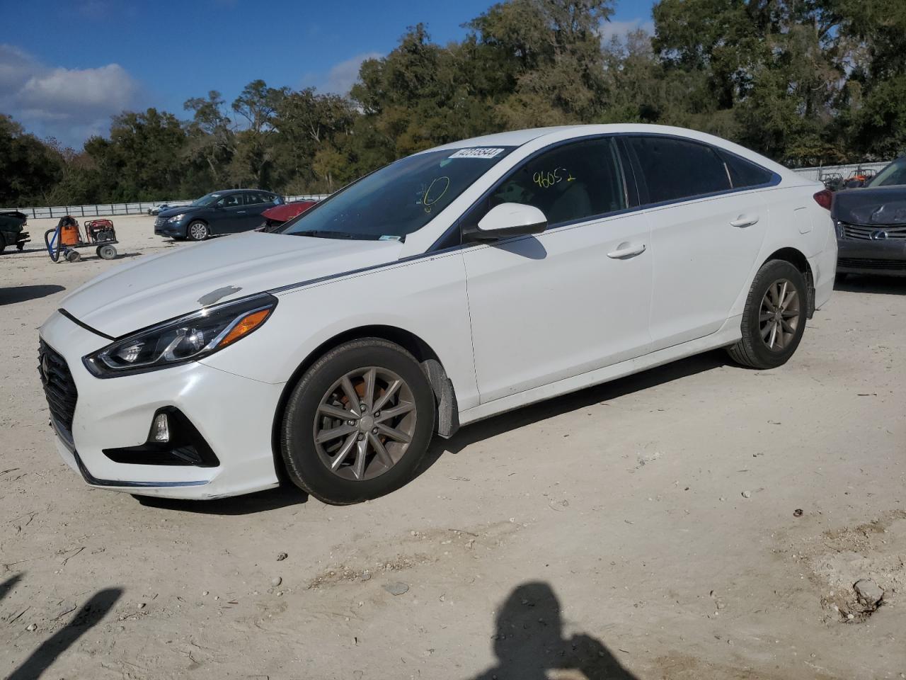 HYUNDAI SONATA 2019 5npe24af3kh805250