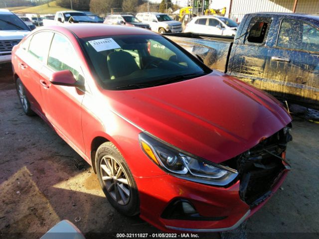 HYUNDAI SONATA 2019 5npe24af3kh807113