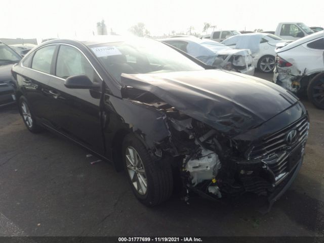 HYUNDAI SONATA 2019 5npe24af3kh807175