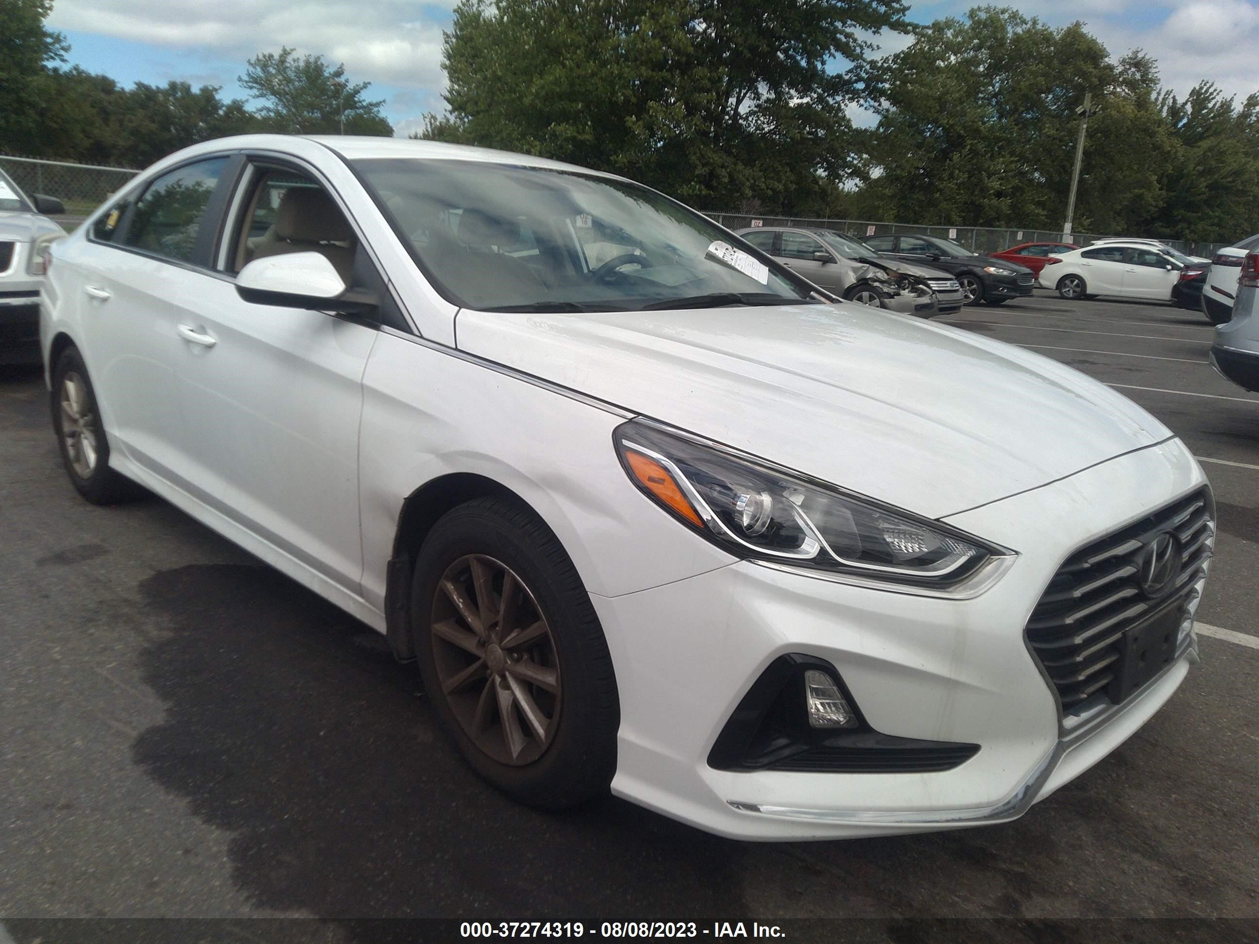 HYUNDAI SONATA 2019 5npe24af3kh809203