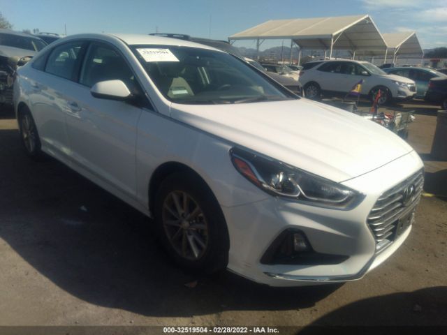 HYUNDAI SONATA 2019 5npe24af3kh819472