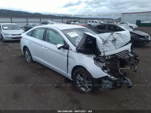 HYUNDAI SONATA 2015 5npe24af4fh034738