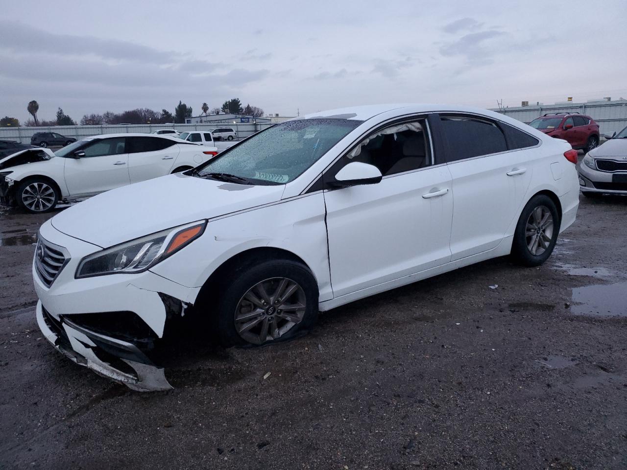 HYUNDAI SONATA 2015 5npe24af4fh049644