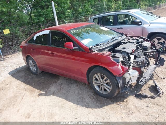 HYUNDAI SONATA 2015 5npe24af4fh054892