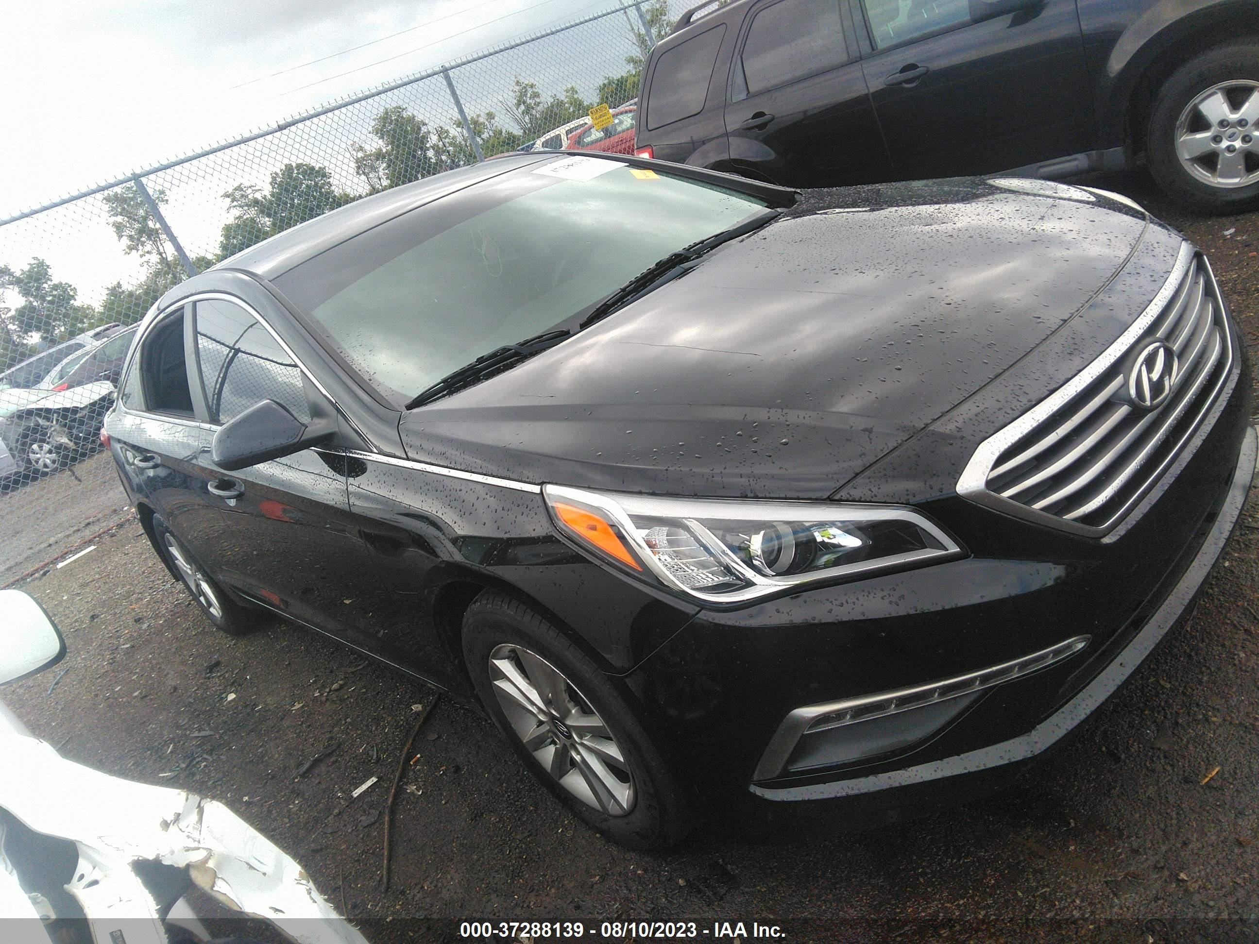 HYUNDAI SONATA 2015 5npe24af4fh108028