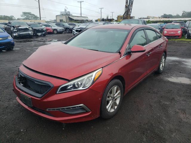 HYUNDAI SONATA 2015 5npe24af4fh112841