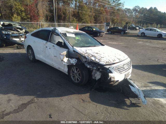 HYUNDAI SONATA 2015 5npe24af4fh122348