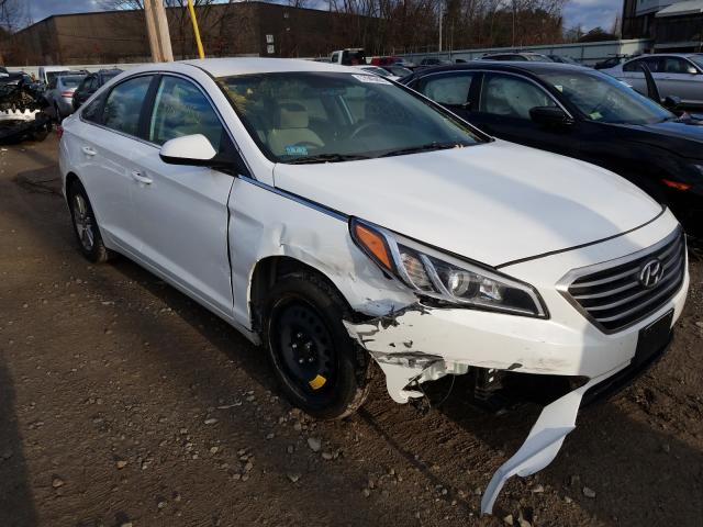 HYUNDAI SONATA SE 2015 5npe24af4fh124021