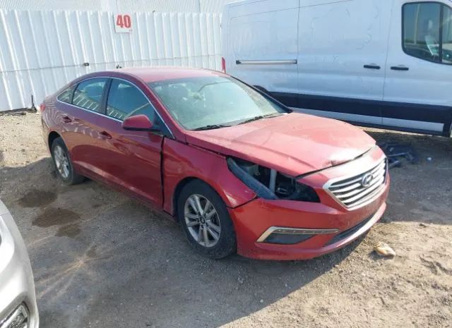 HYUNDAI SONATA 2015 5npe24af4fh130434