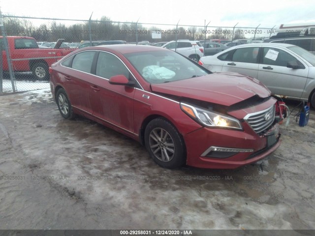 HYUNDAI SONATA 2015 5npe24af4fh145984