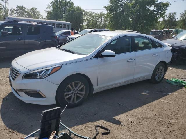 HYUNDAI SONATA 2015 5npe24af4fh147699