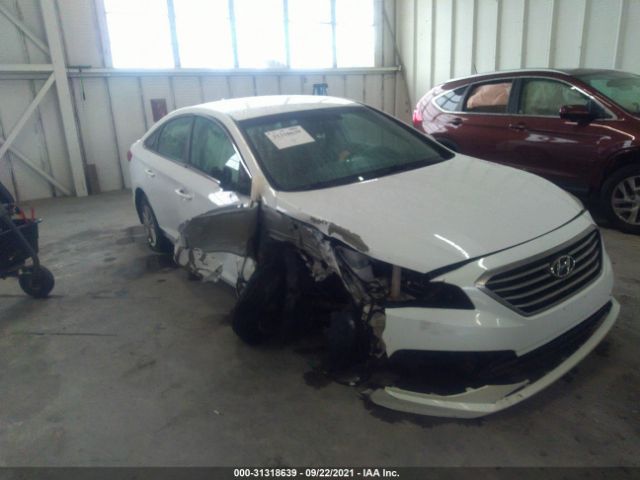 HYUNDAI SONATA 2015 5npe24af4fh156211