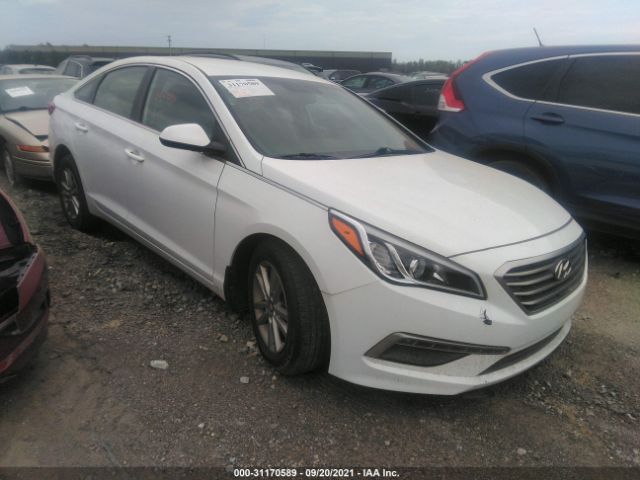 HYUNDAI SONATA 2015 5npe24af4fh159206