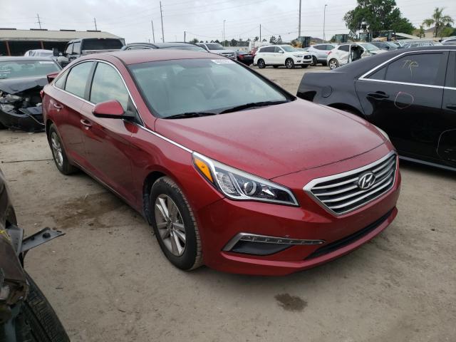 HYUNDAI SONATA 2015 5npe24af4fh162459