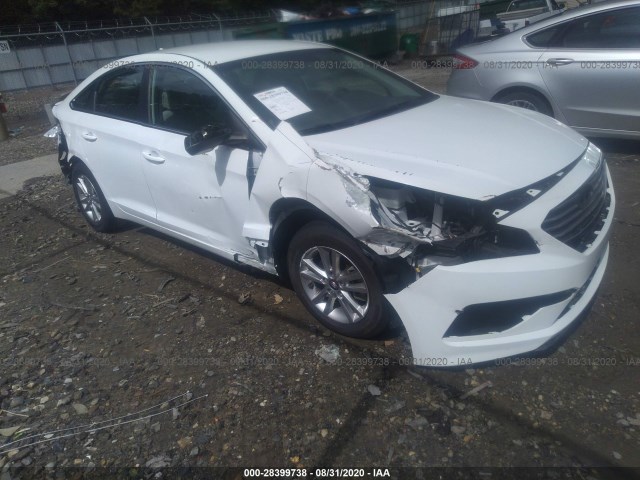 HYUNDAI SONATA 2015 5npe24af4fh191475