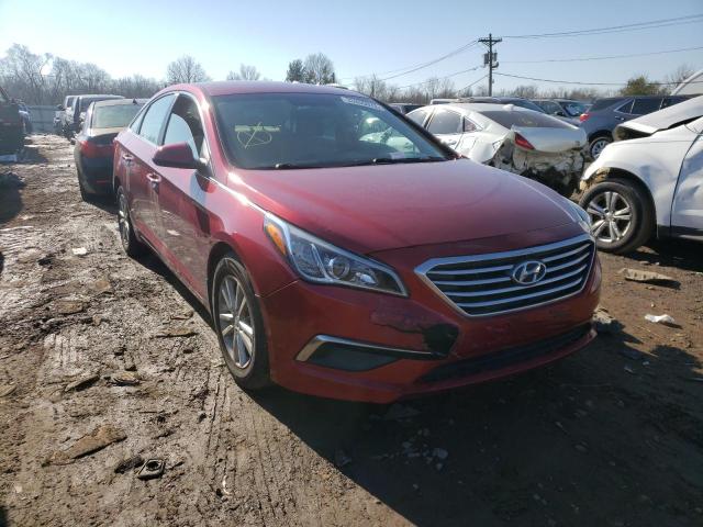 HYUNDAI SONATA 2015 5npe24af4fh192982