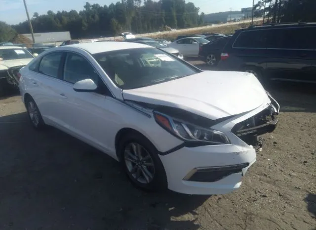 HYUNDAI SONATA 2015 5npe24af4fh204516