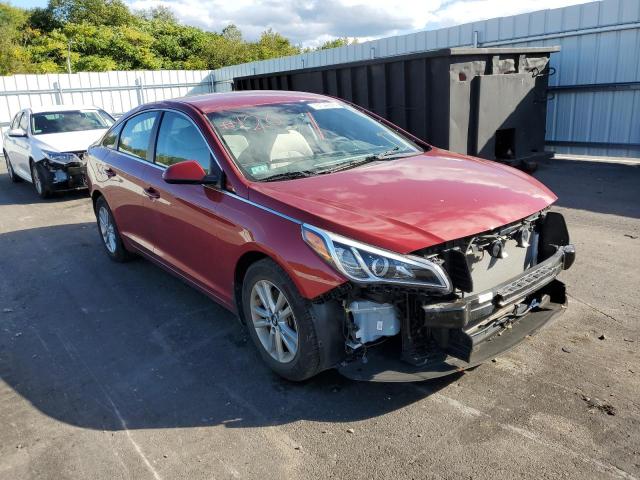 HYUNDAI SONATA SE 2015 5npe24af4fh206248