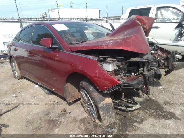 HYUNDAI SONATA 2015 5npe24af4fh226385