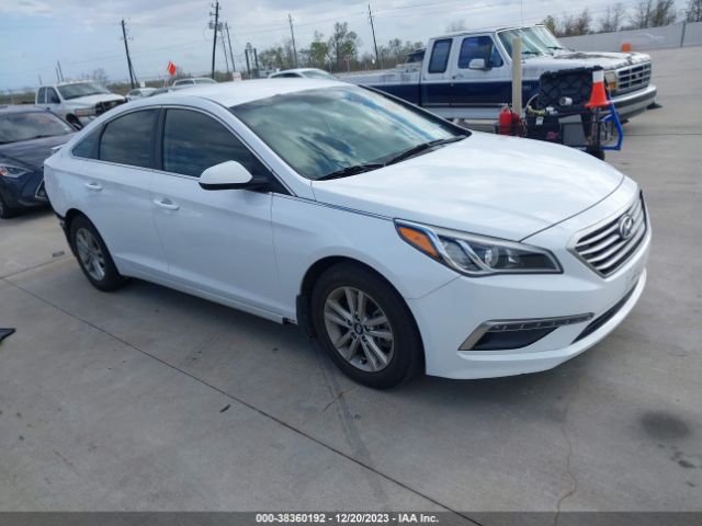 HYUNDAI SONATA 2015 5npe24af4fh226922