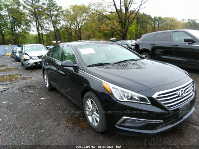 HYUNDAI SONATA 2015 5npe24af4fh231425