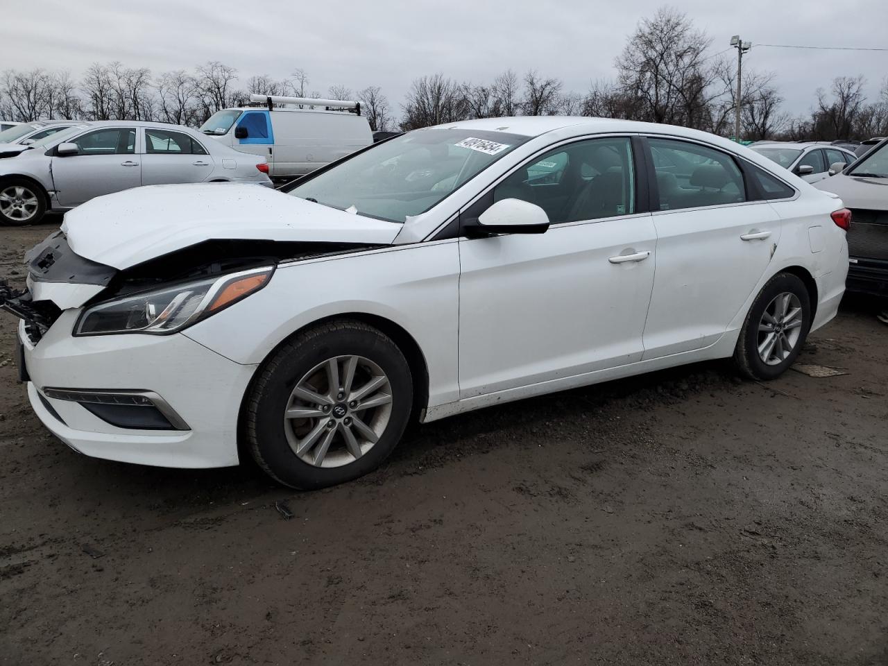 HYUNDAI SONATA 2015 5npe24af4fh232297