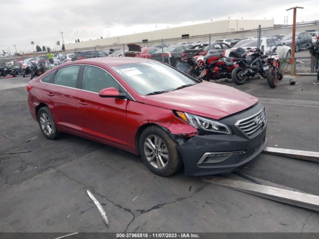 HYUNDAI SONATA 2015 5npe24af4fh258429