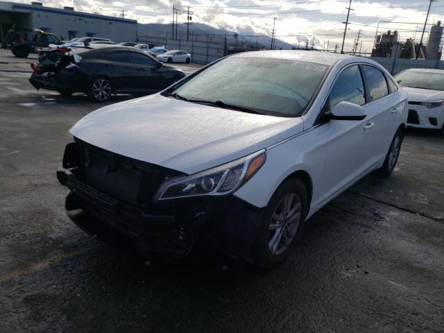 HYUNDAI SONATA SE 2016 5npe24af4gh269545