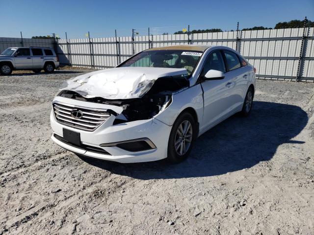 HYUNDAI SONATA 2016 5npe24af4gh271974