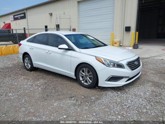 HYUNDAI SONATA 2016 5npe24af4gh274986