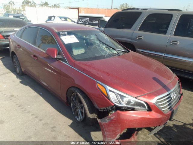 HYUNDAI SONATA 2016 5npe24af4gh278942