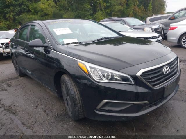 HYUNDAI SONATA 2016 5npe24af4gh281372