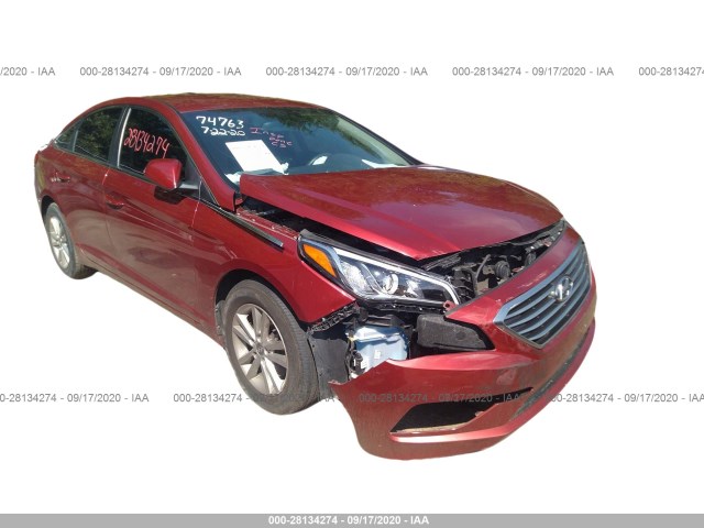 HYUNDAI SONATA 2016 5npe24af4gh282439