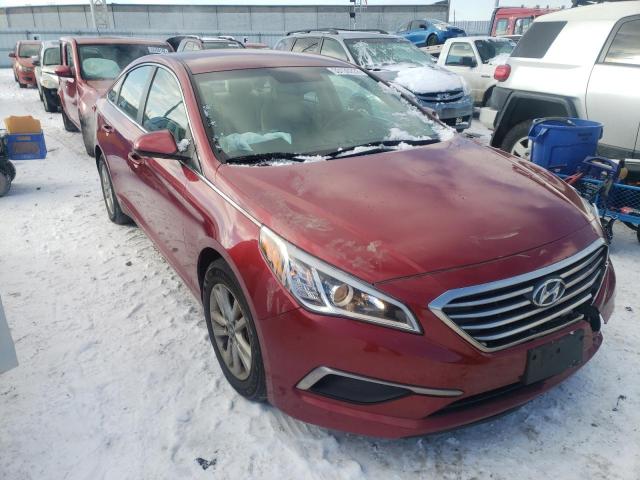 HYUNDAI SONATA SE 2016 5npe24af4gh289455