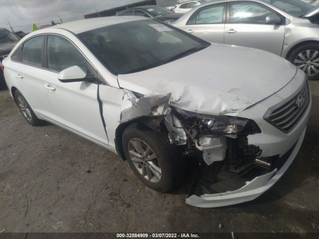 HYUNDAI SONATA 2016 5npe24af4gh290637