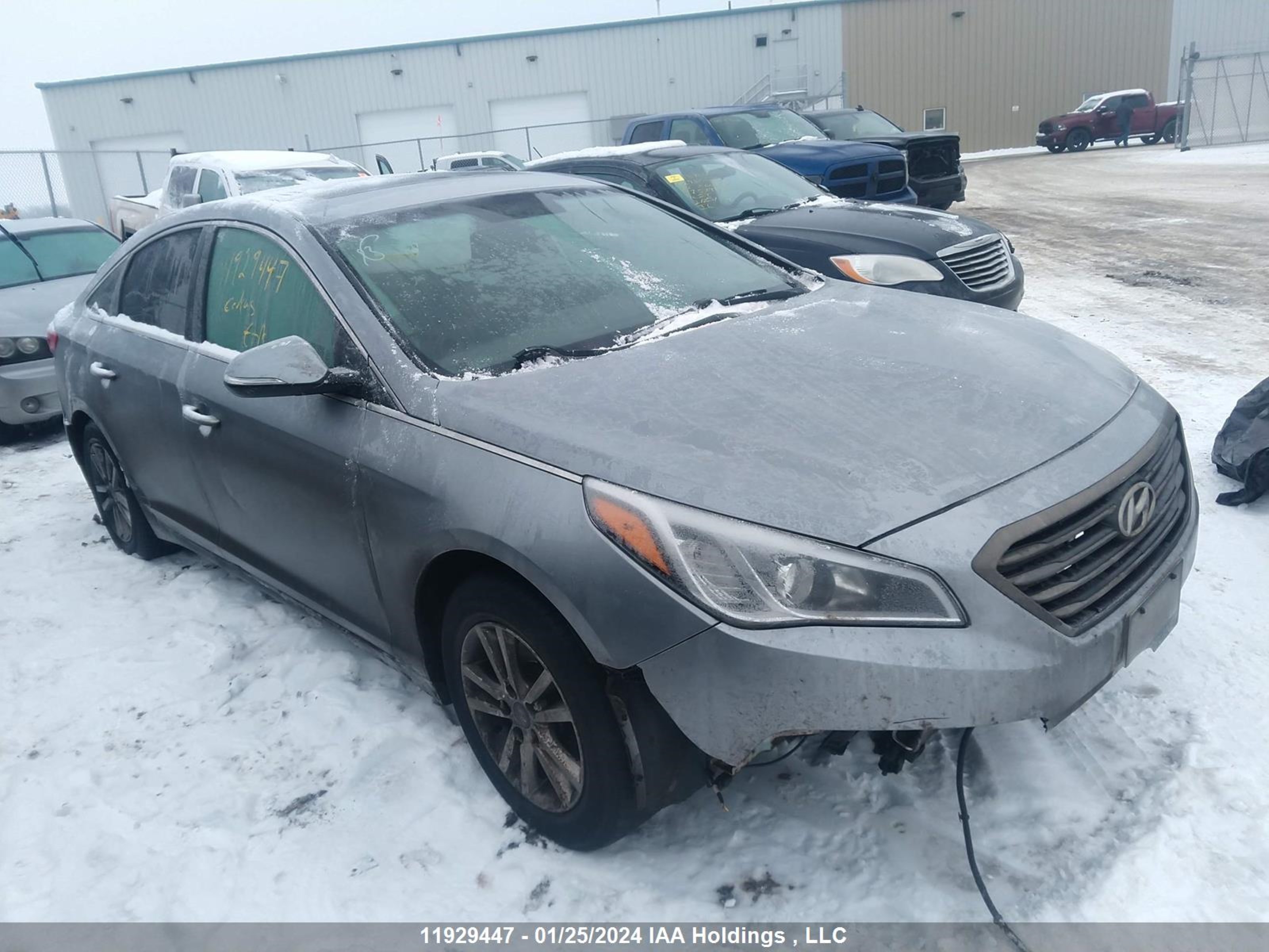 HYUNDAI SONATA 2016 5npe24af4gh293327