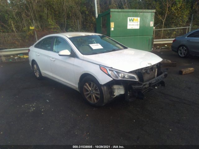 HYUNDAI SONATA 2016 5npe24af4gh304293