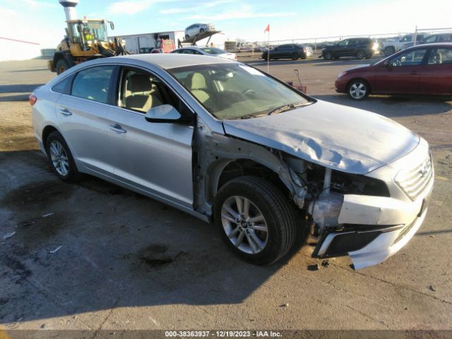 HYUNDAI SONATA 2016 5npe24af4gh306254