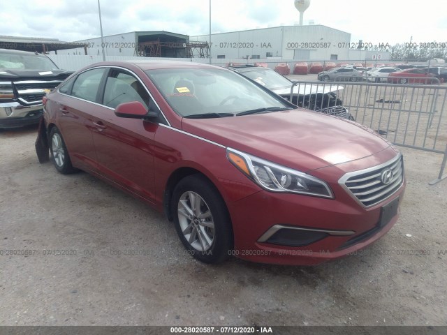 HYUNDAI SONATA 2016 5npe24af4gh309686