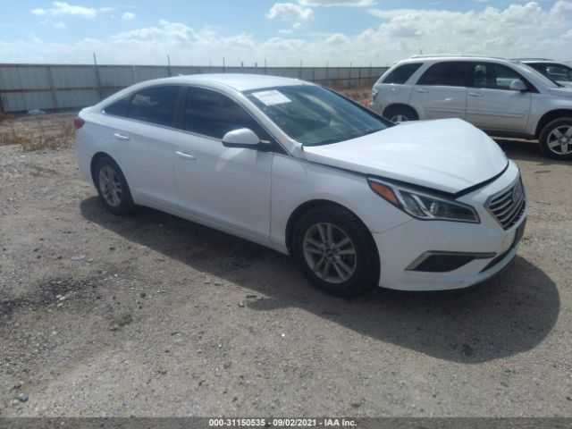 HYUNDAI SONATA 2016 5npe24af4gh317917