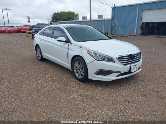 HYUNDAI SONATA 2016 5npe24af4gh322891